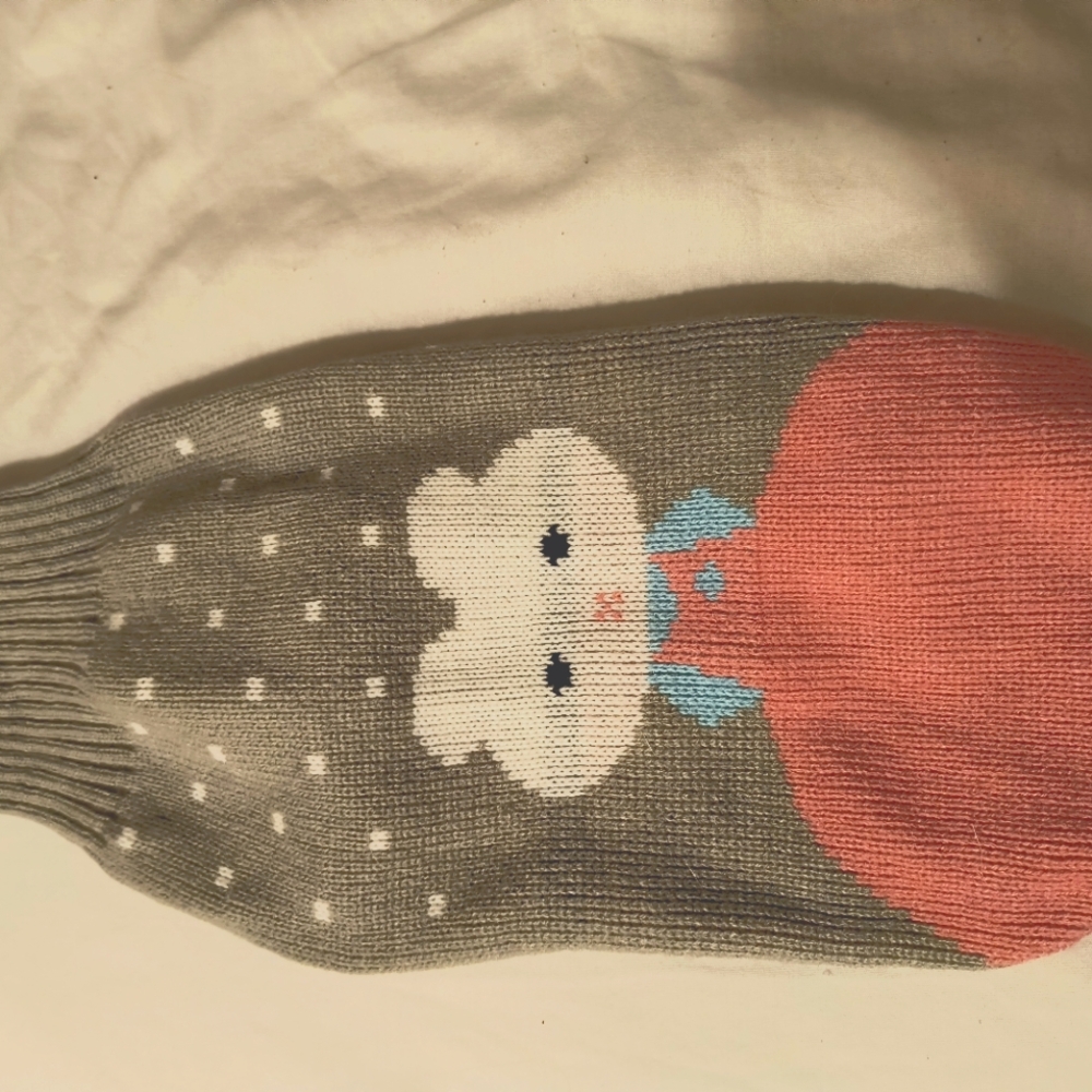 Cute small dog or cat sweater